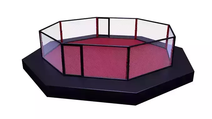 Fighting octagon arena