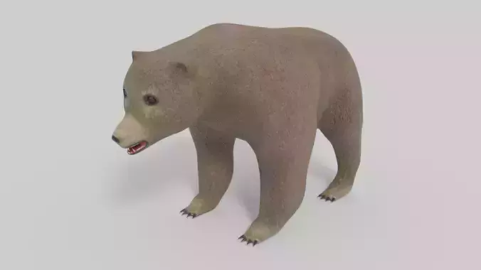 3D Bear Model and Animation Low-poly 3D model