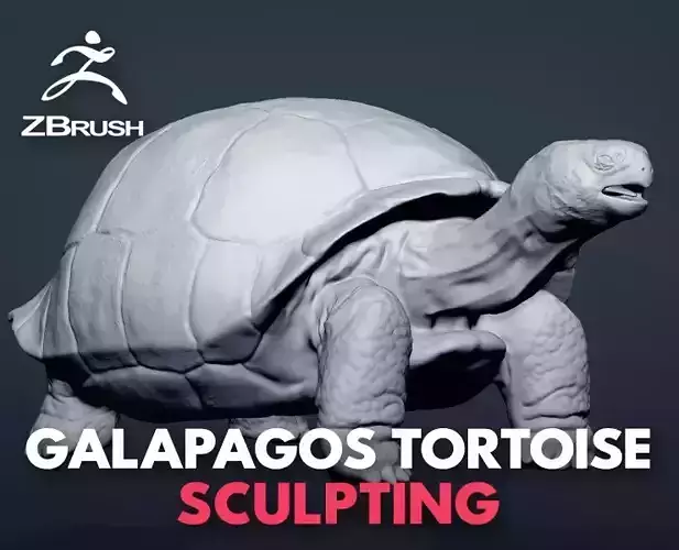 Galapagos Tortoise Sculpt 3D model