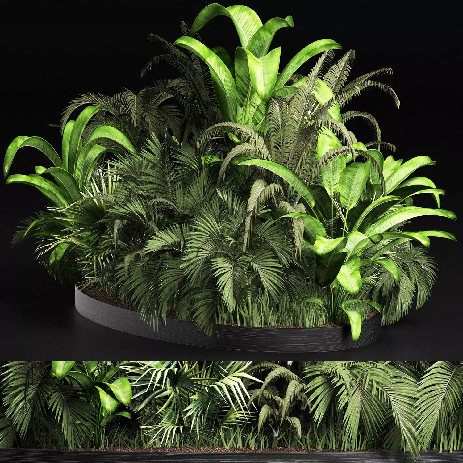 Plants Collection 209 Gardening Plants 3D model