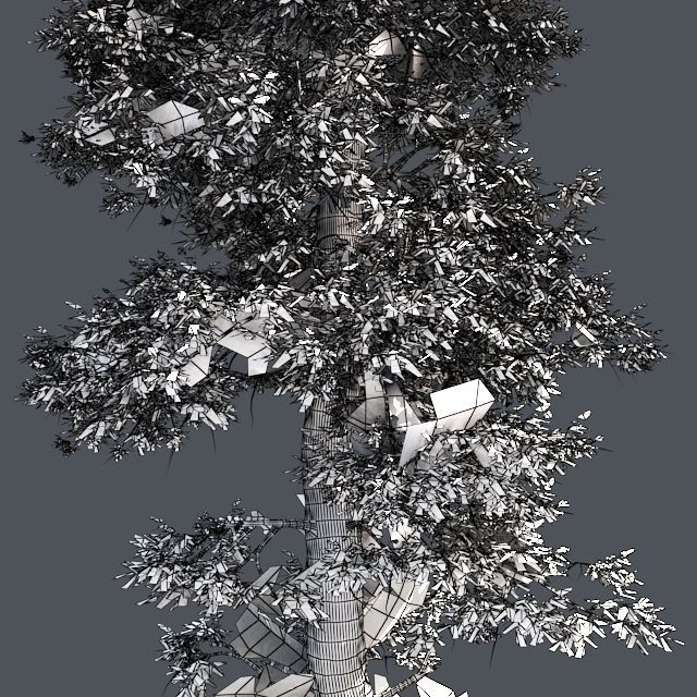 Bald Cypress Tree Low-poly 3D model_4