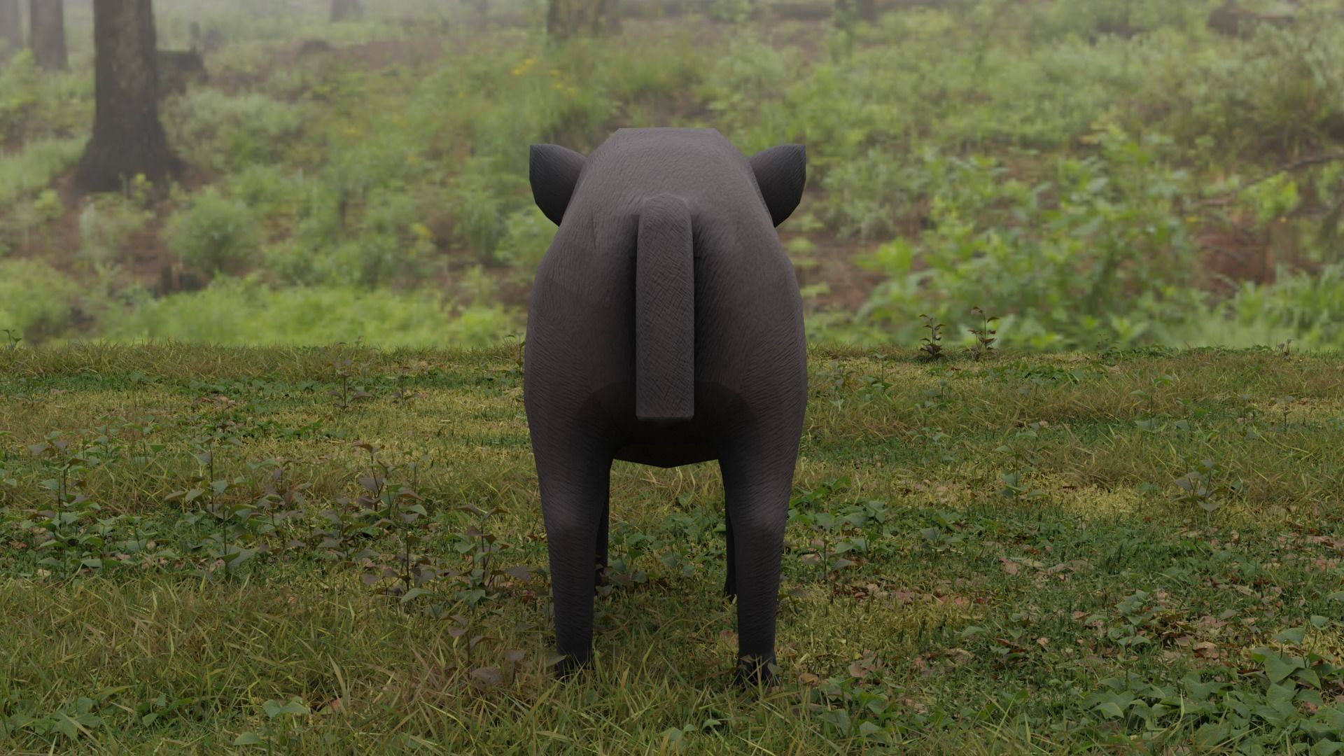 Boar LowPoly dog Low-poly 3D model_5