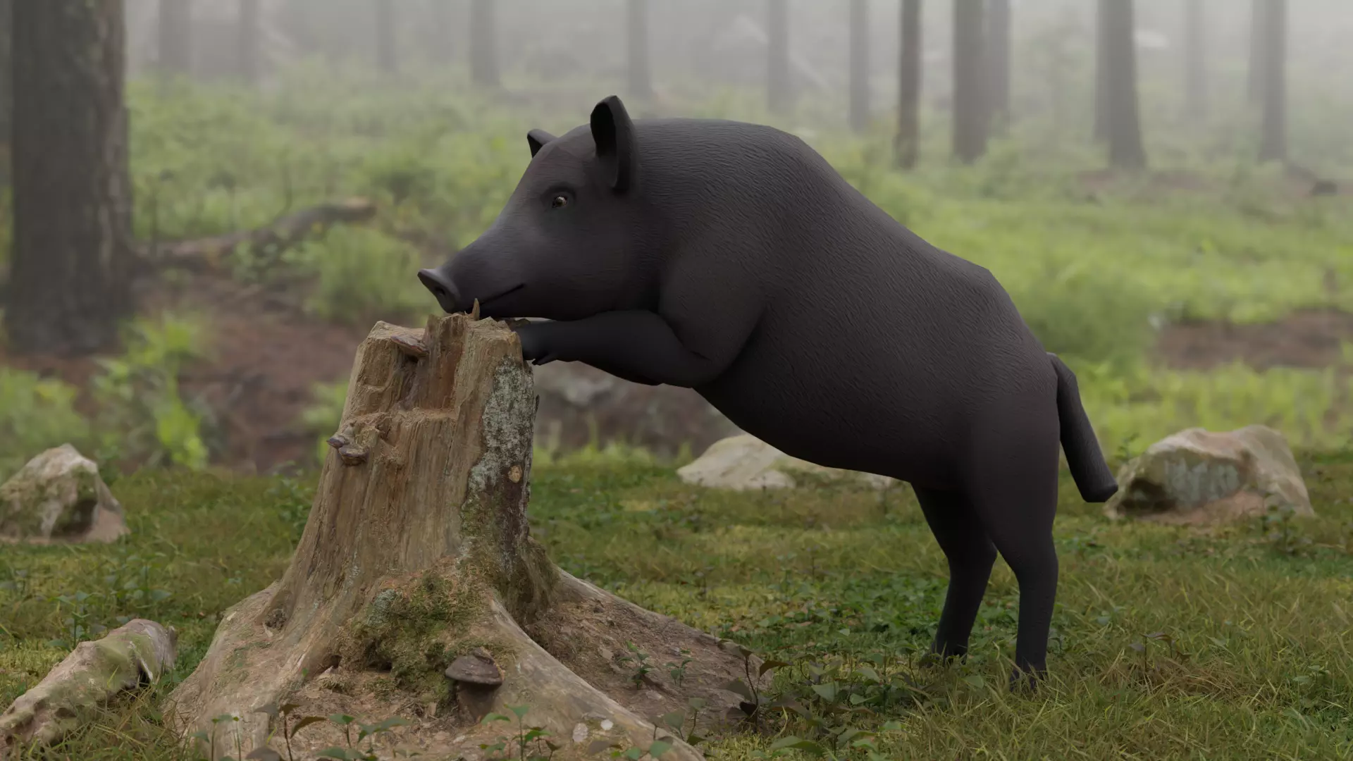 Boar LowPoly dog Low-poly 3D model_0
