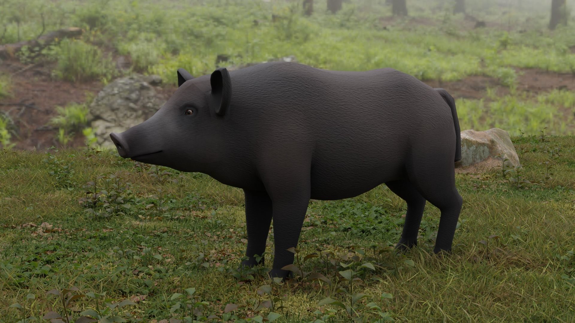 Boar LowPoly dog Low-poly 3D model_2