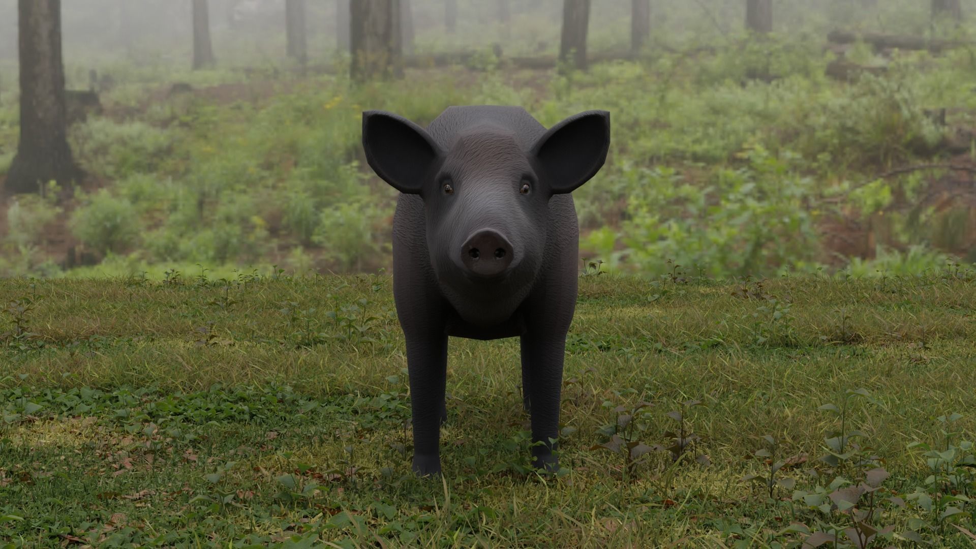 Boar LowPoly dog Low-poly 3D model_3