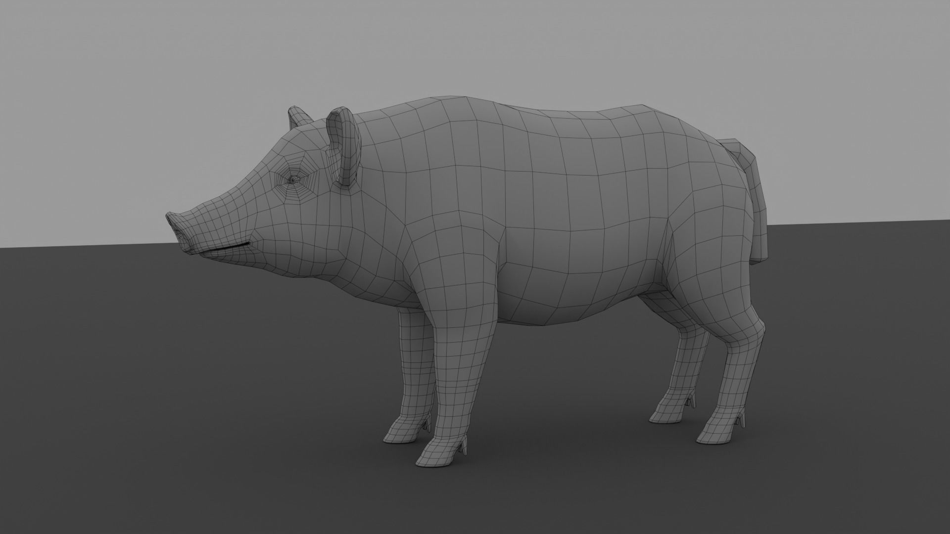 Boar LowPoly dog Low-poly 3D model_11