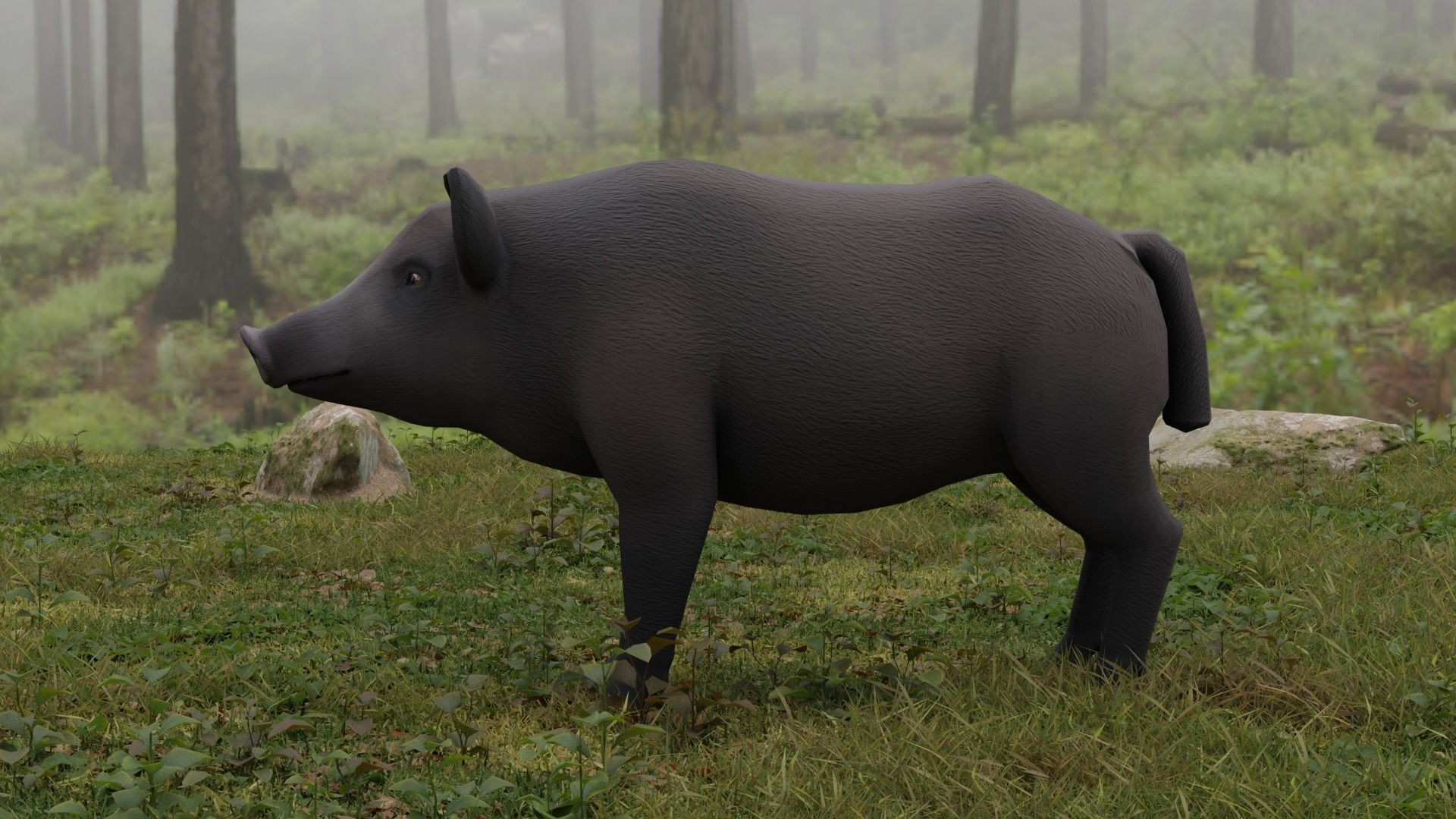 Boar LowPoly dog Low-poly 3D model_4