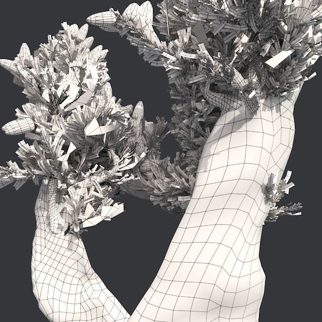 Bristle Cone Pine Tree Low-poly 3D model_4