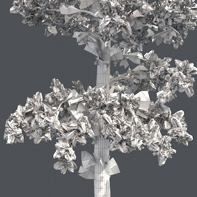 Eastern white pine tree Low-poly 3D model_4