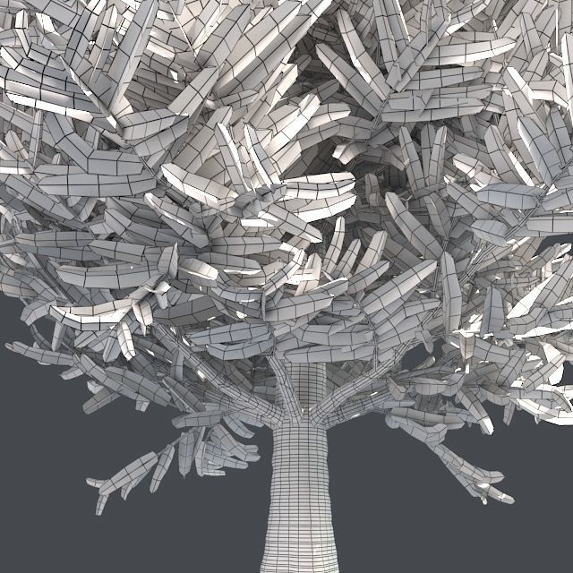 Frase Fir Tree Low-poly 3D model_4