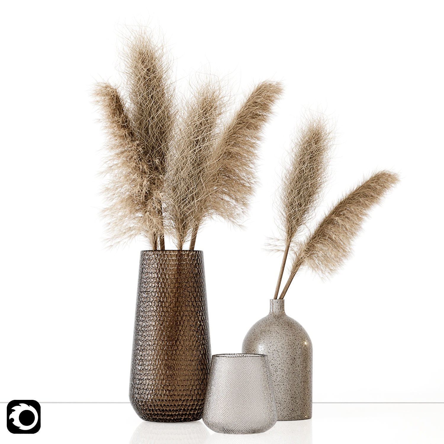 Pampas 01 3D model_1
