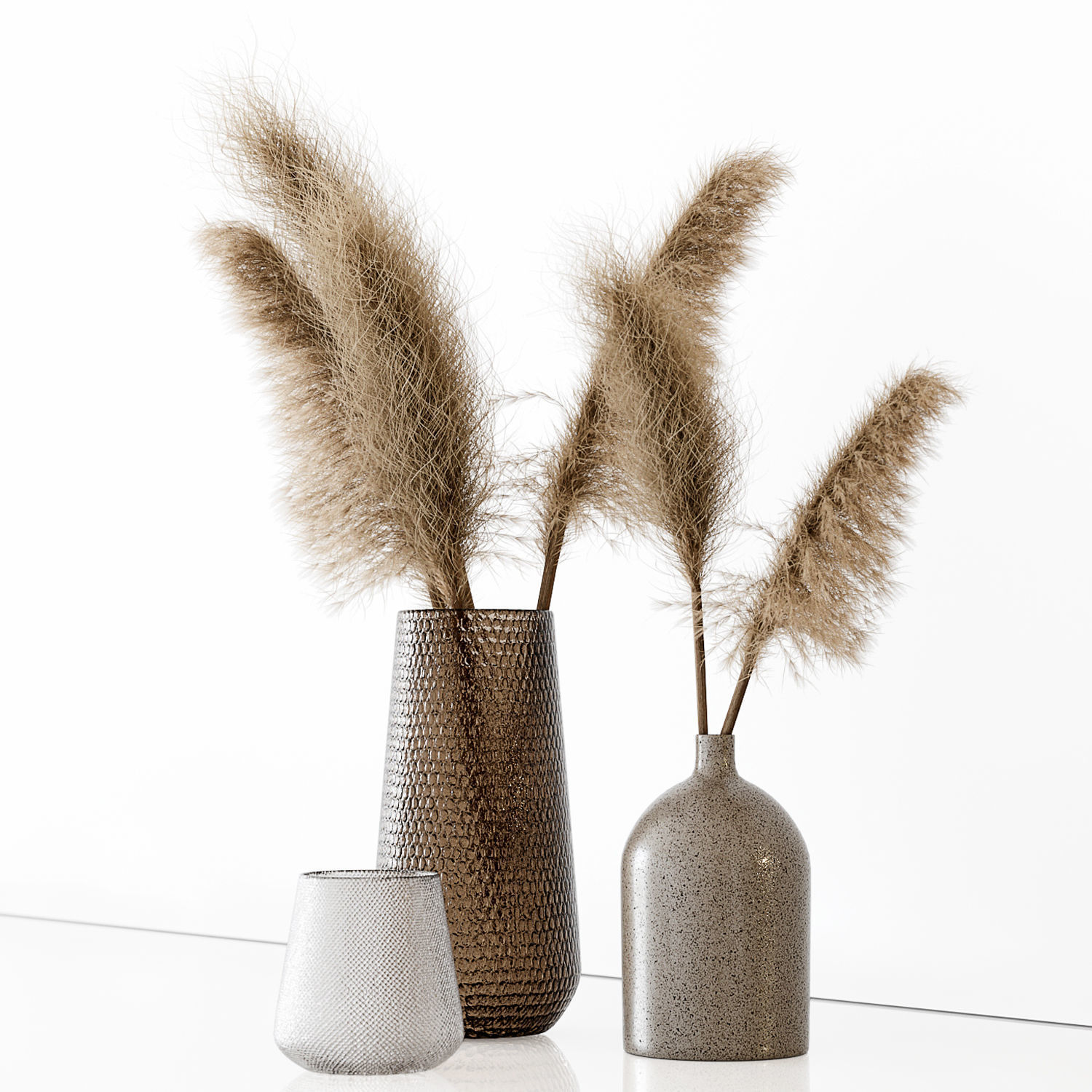 Pampas 01 3D model_2