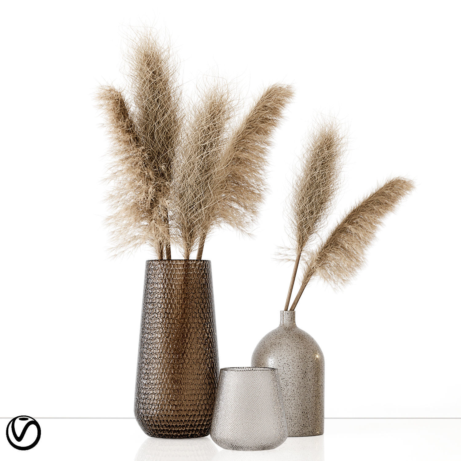 Pampas 01 3D model_5