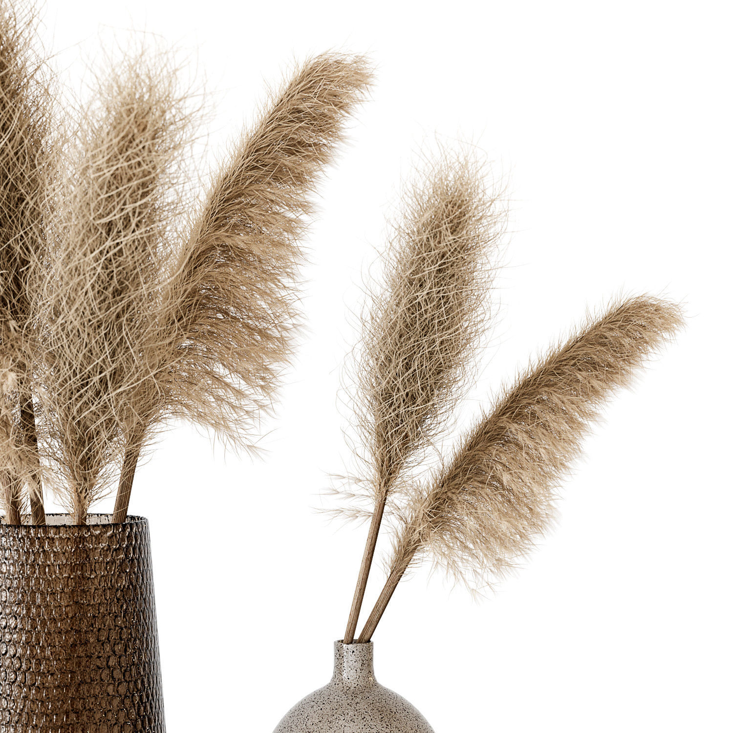 Pampas 01 3D model_8