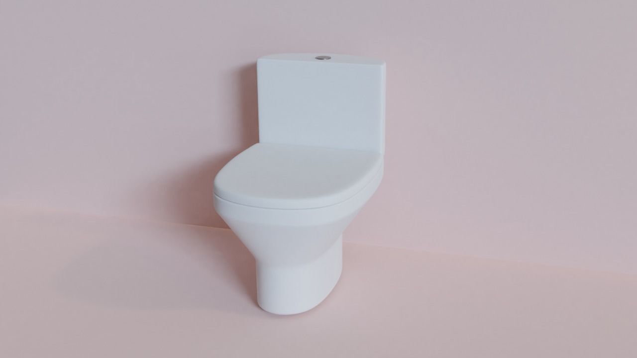 Toilet Free 3D model_1