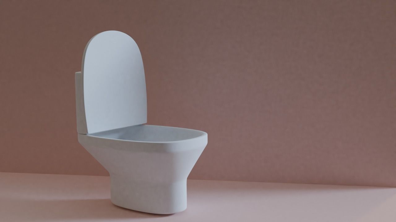 Toilet Free 3D model_4