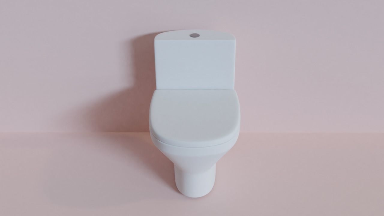 Toilet Free 3D model_2