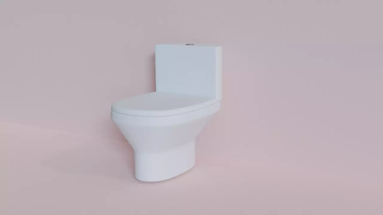 Toilet Free 3D model_0