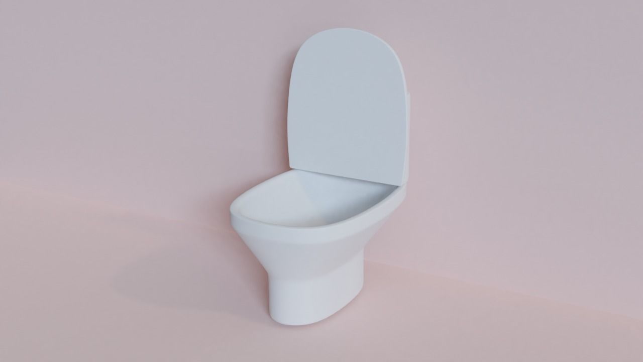 Toilet Free 3D model_3