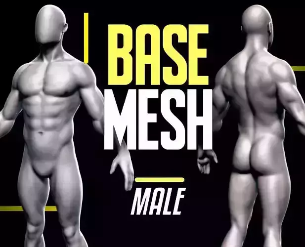 Basemesh Male