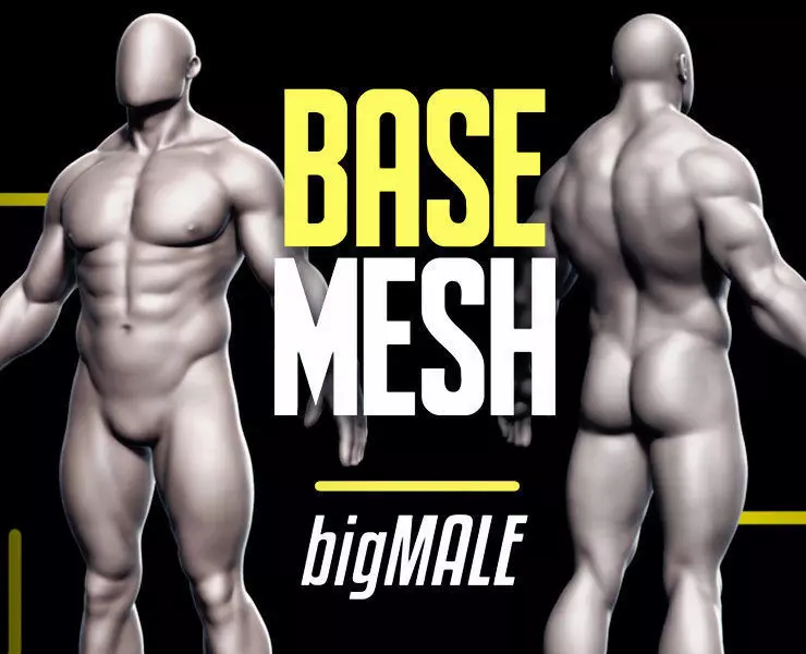 Basemesh Big Male 3D model_0