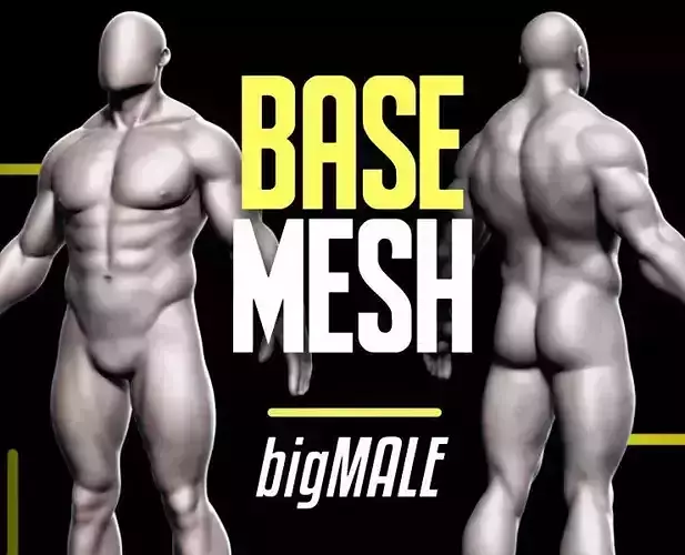Basemesh Big Male