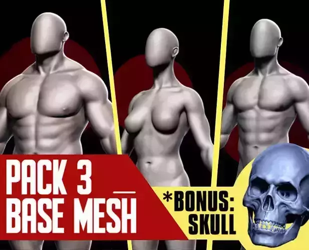 Basemesh Pack of 3 3D model