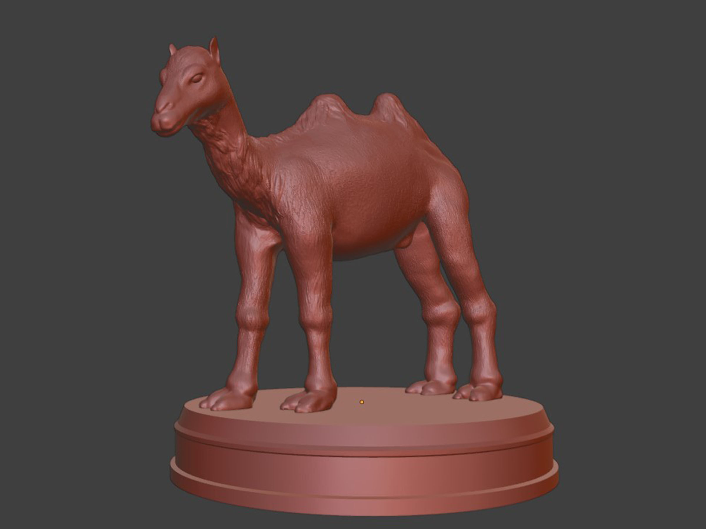 Realistic Camel 3D print model_6