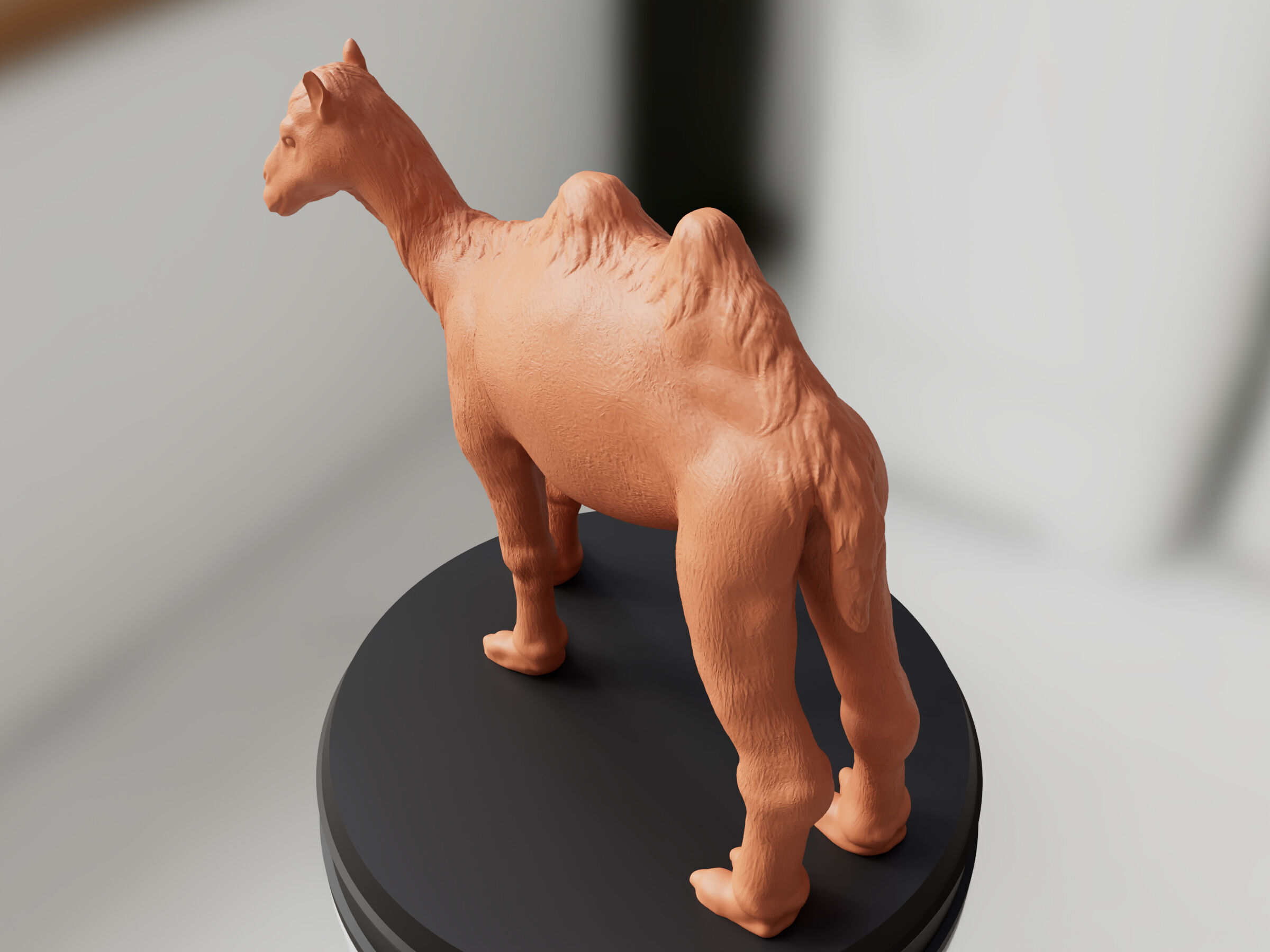 Realistic Camel 3D print model_3