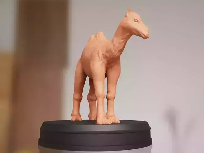 Realistic Camel 