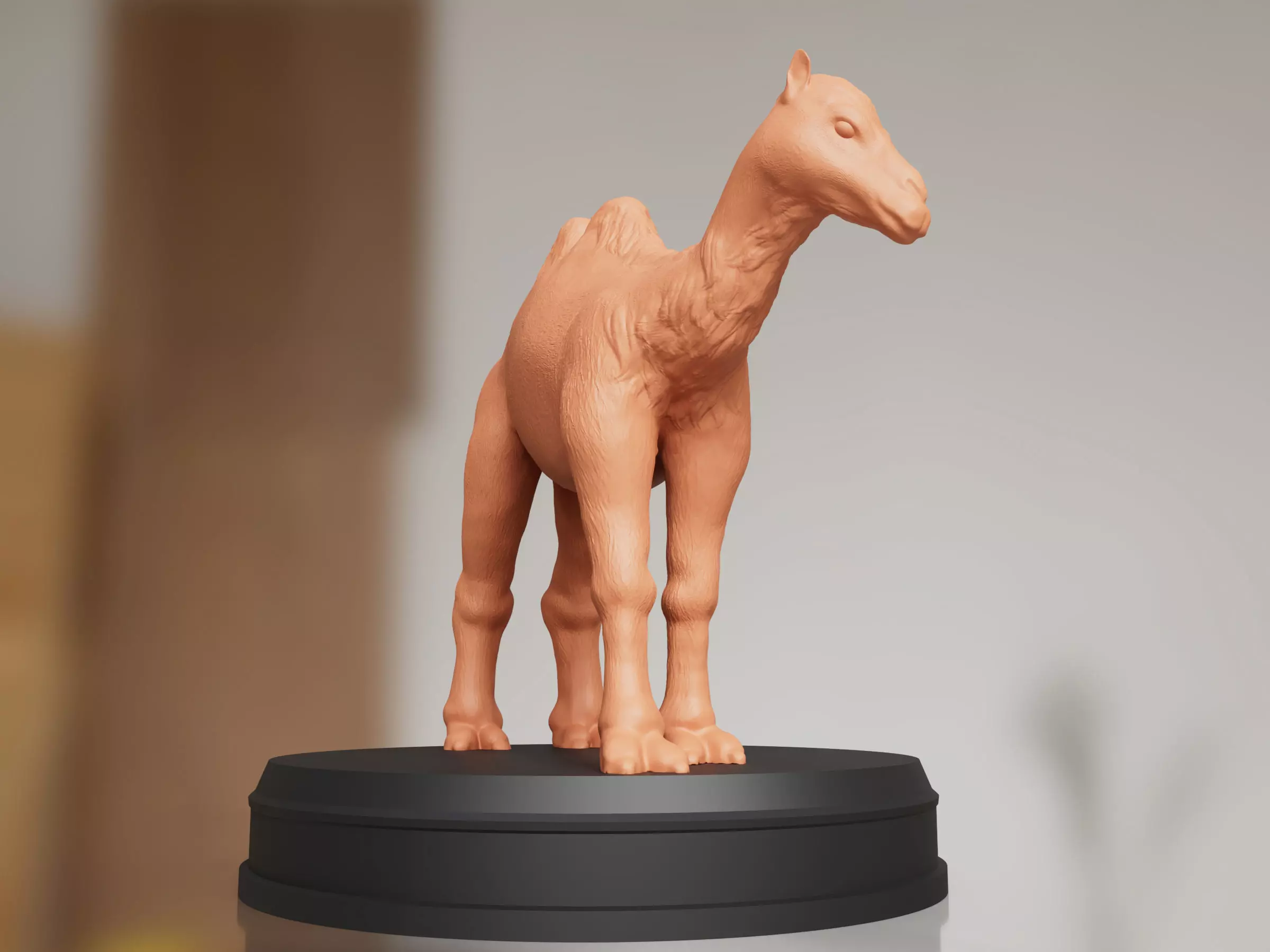 Realistic Camel 3D print model_0