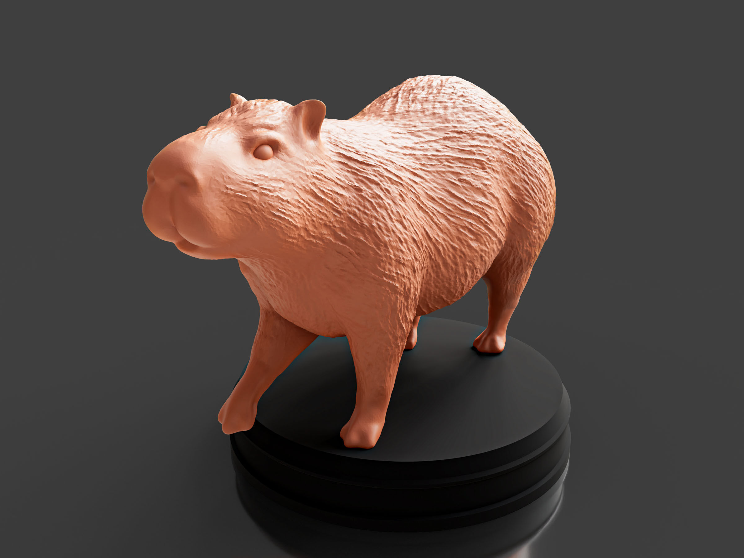 Realistic Capybara 3D print model_1