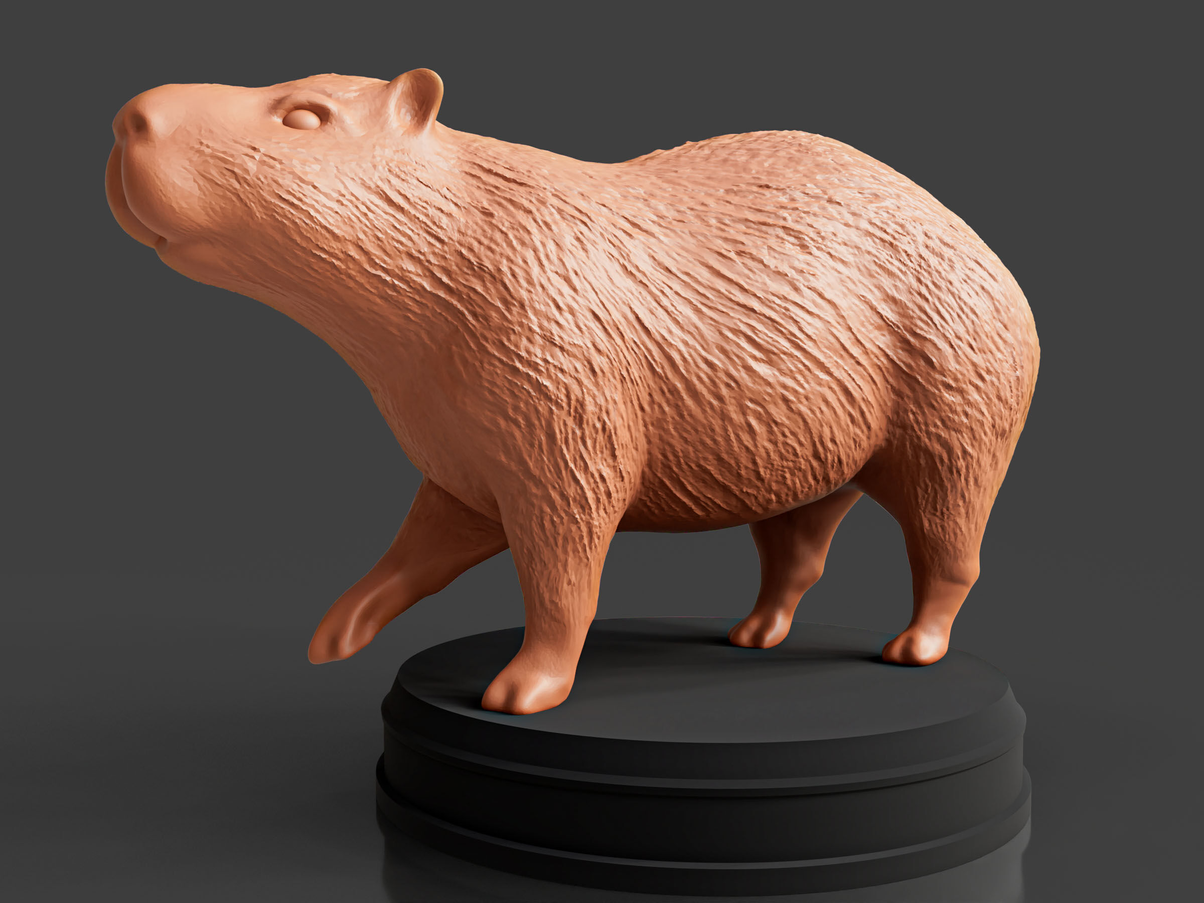 Realistic Capybara 3D print model_5