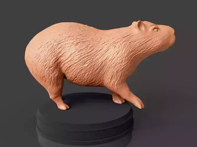 Realistic Capybara 3D print model