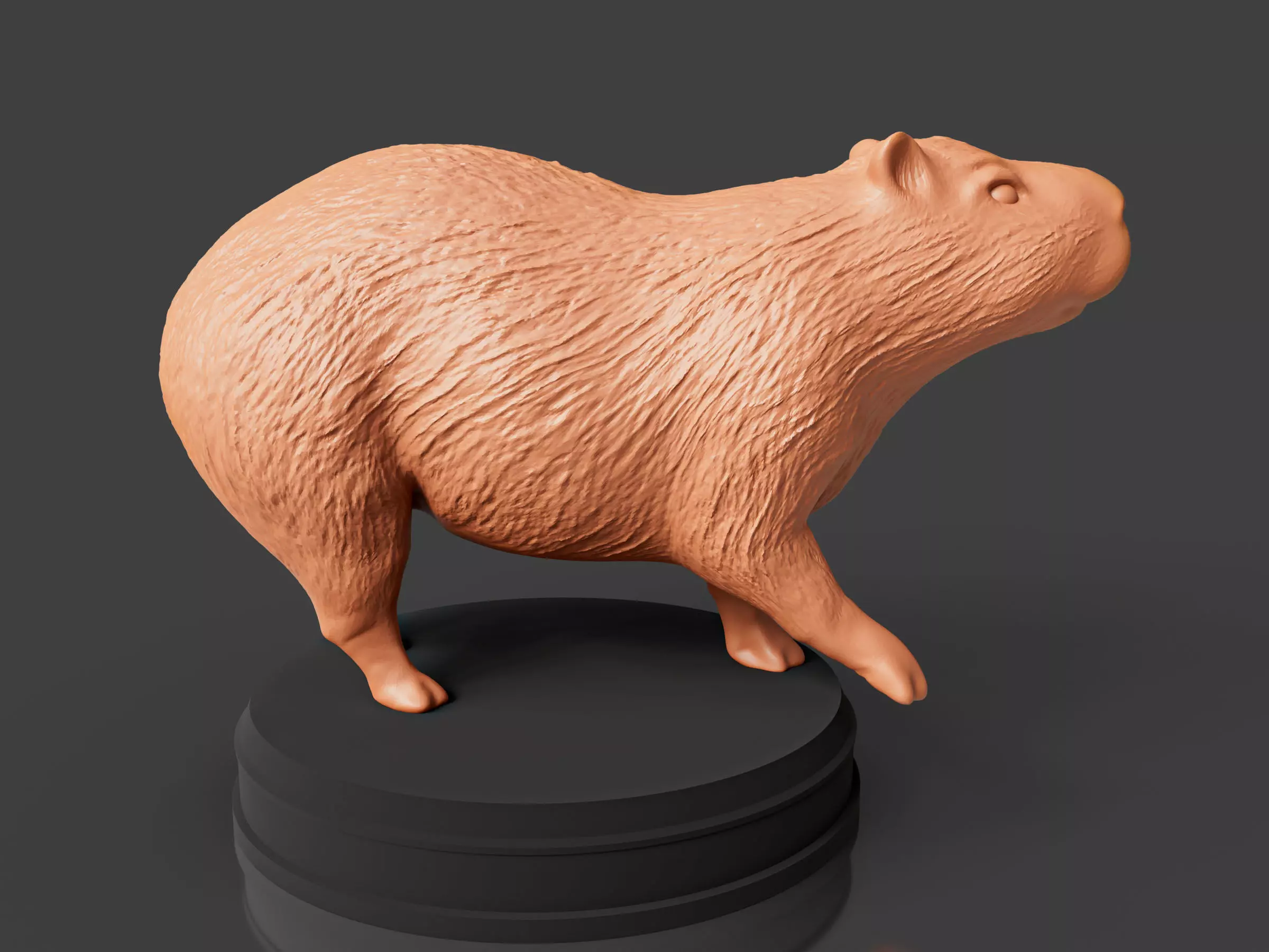 Realistic Capybara 3D print model_0