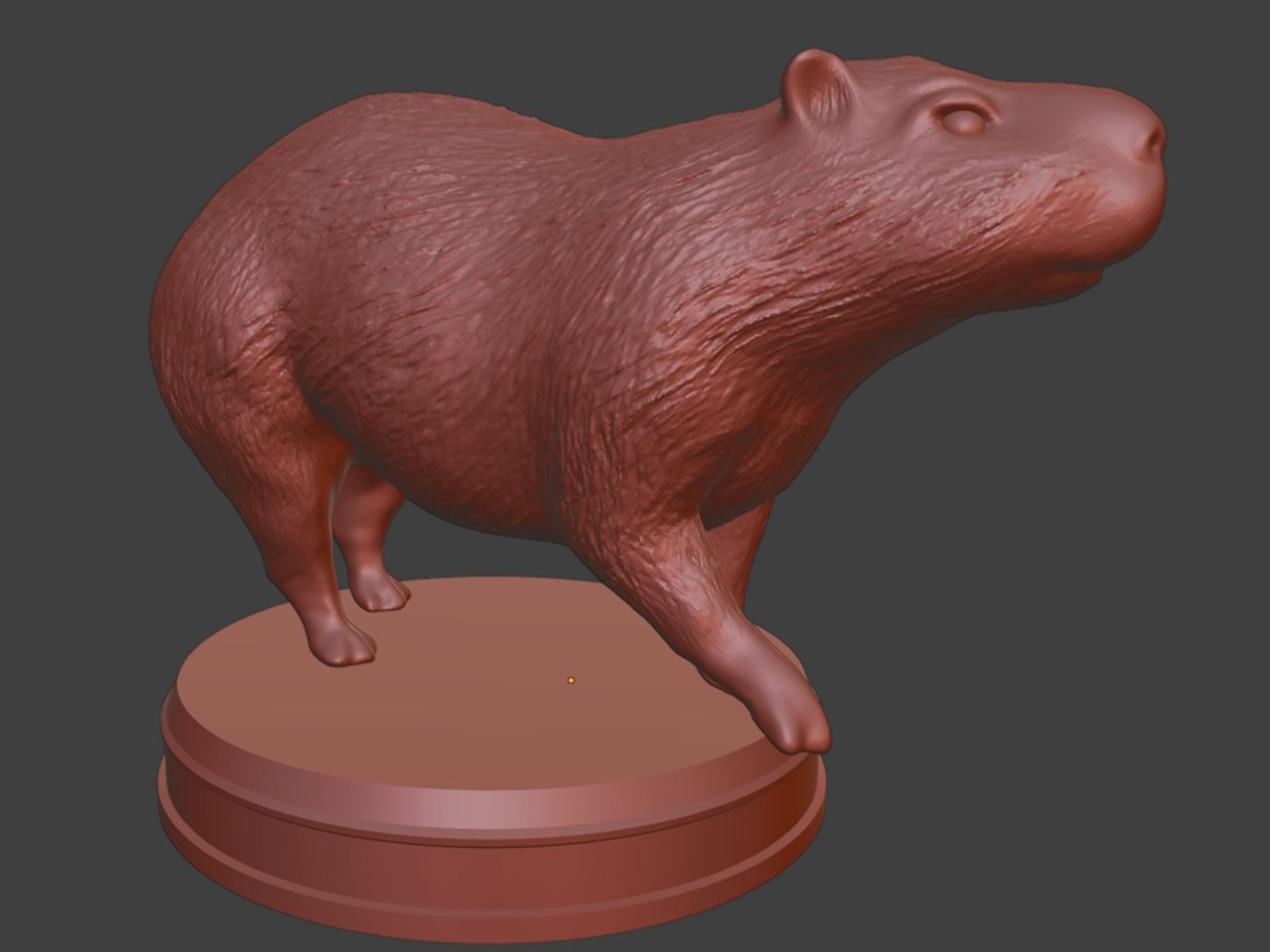 Realistic Capybara 3D print model_6