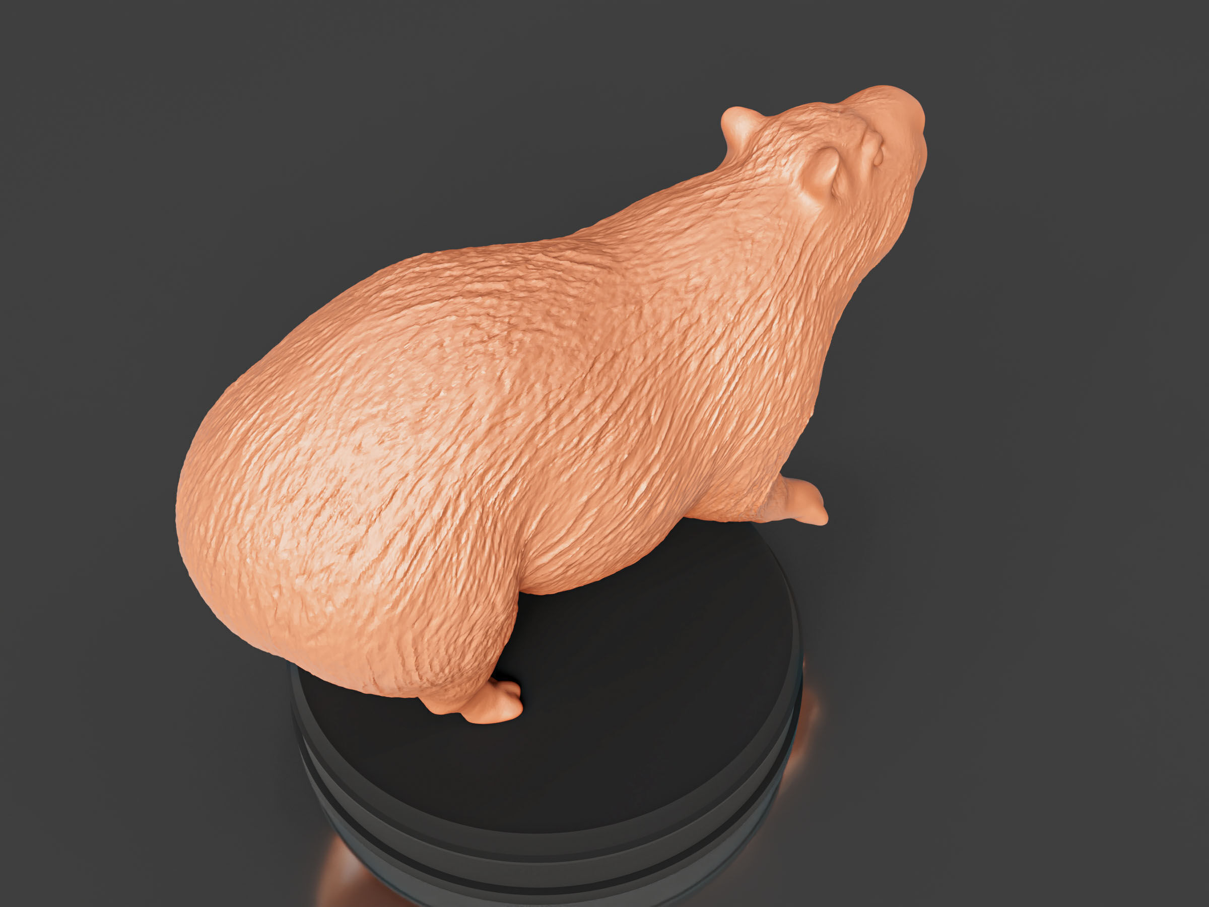 Realistic Capybara 3D print model_3