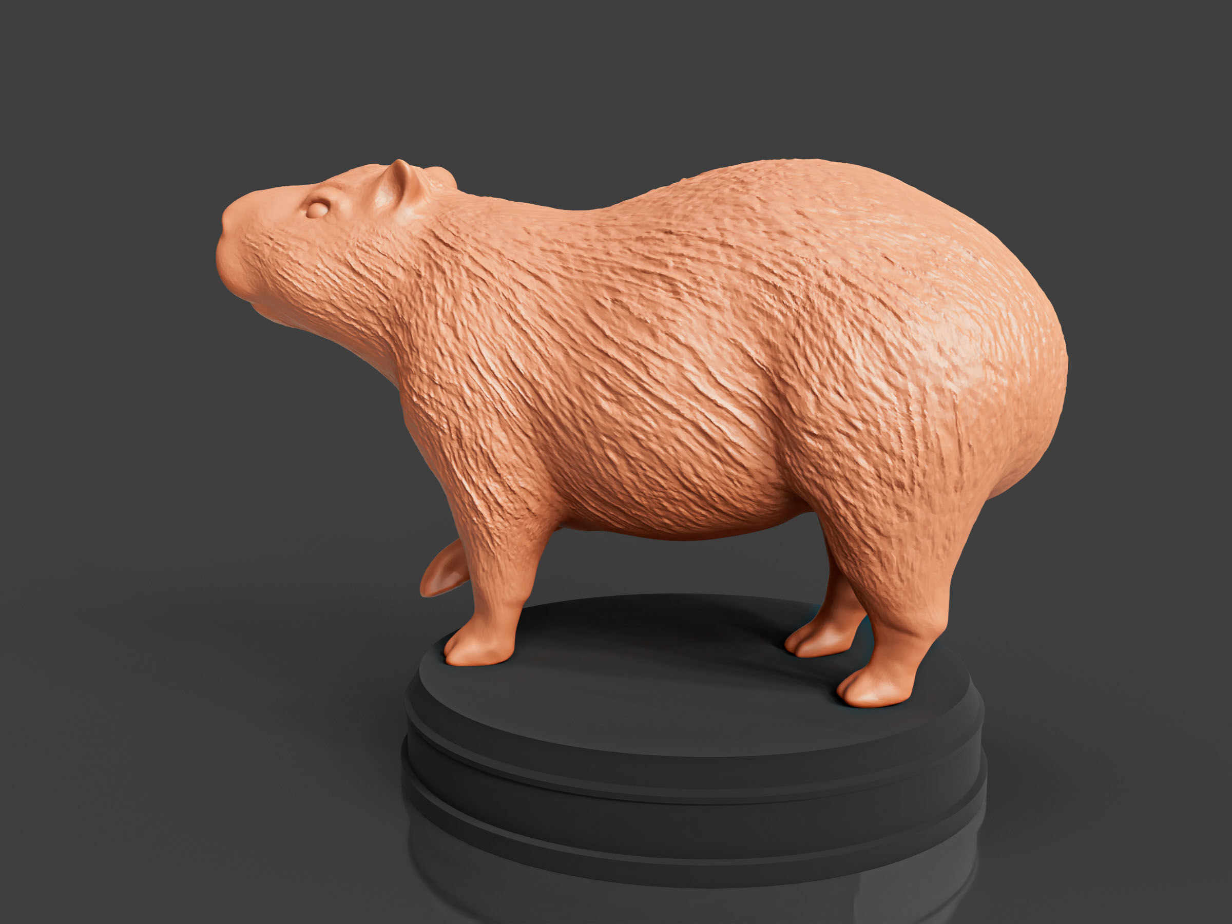 Realistic Capybara 3D print model_4