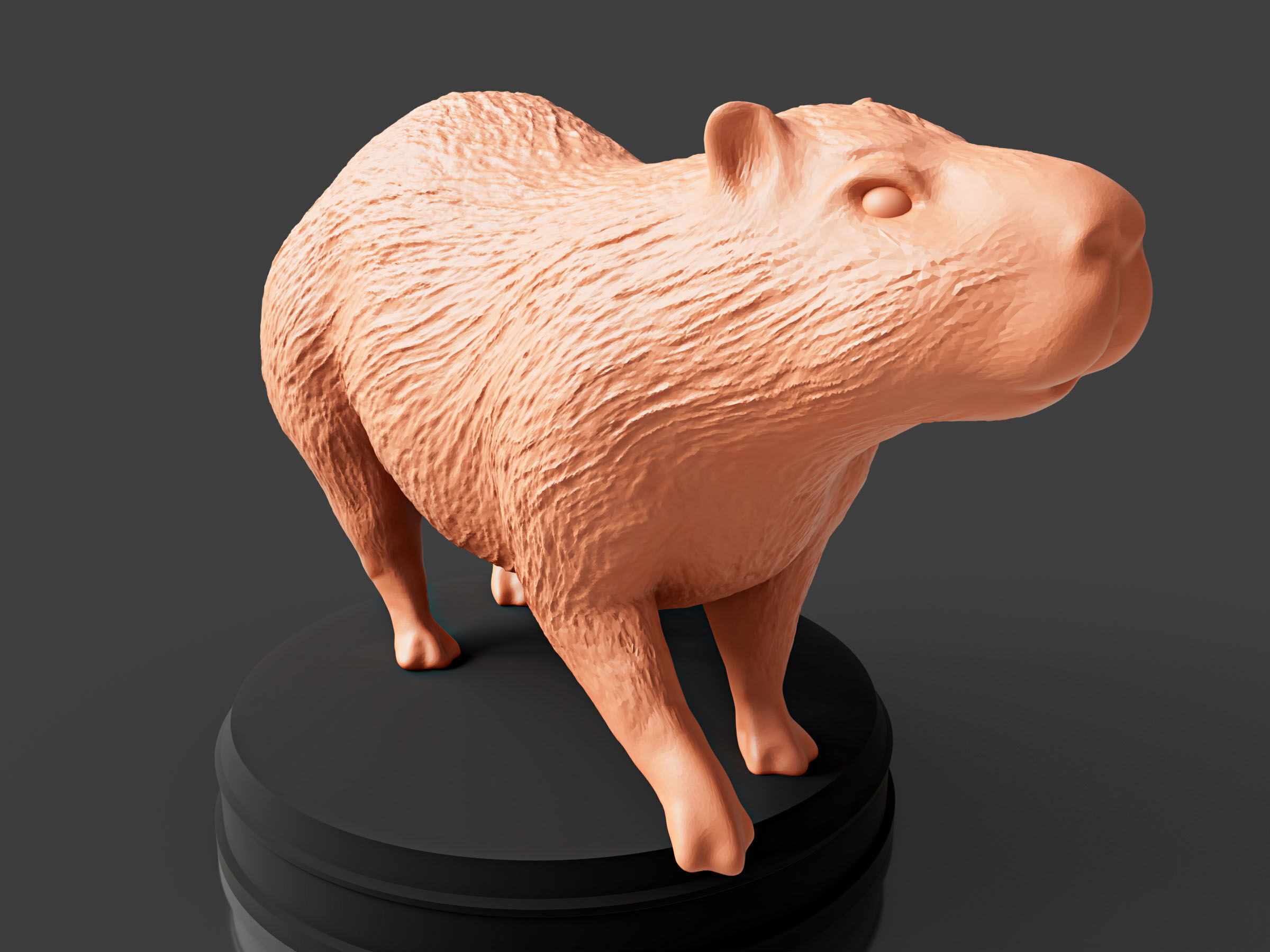 Realistic Capybara 3D print model_2