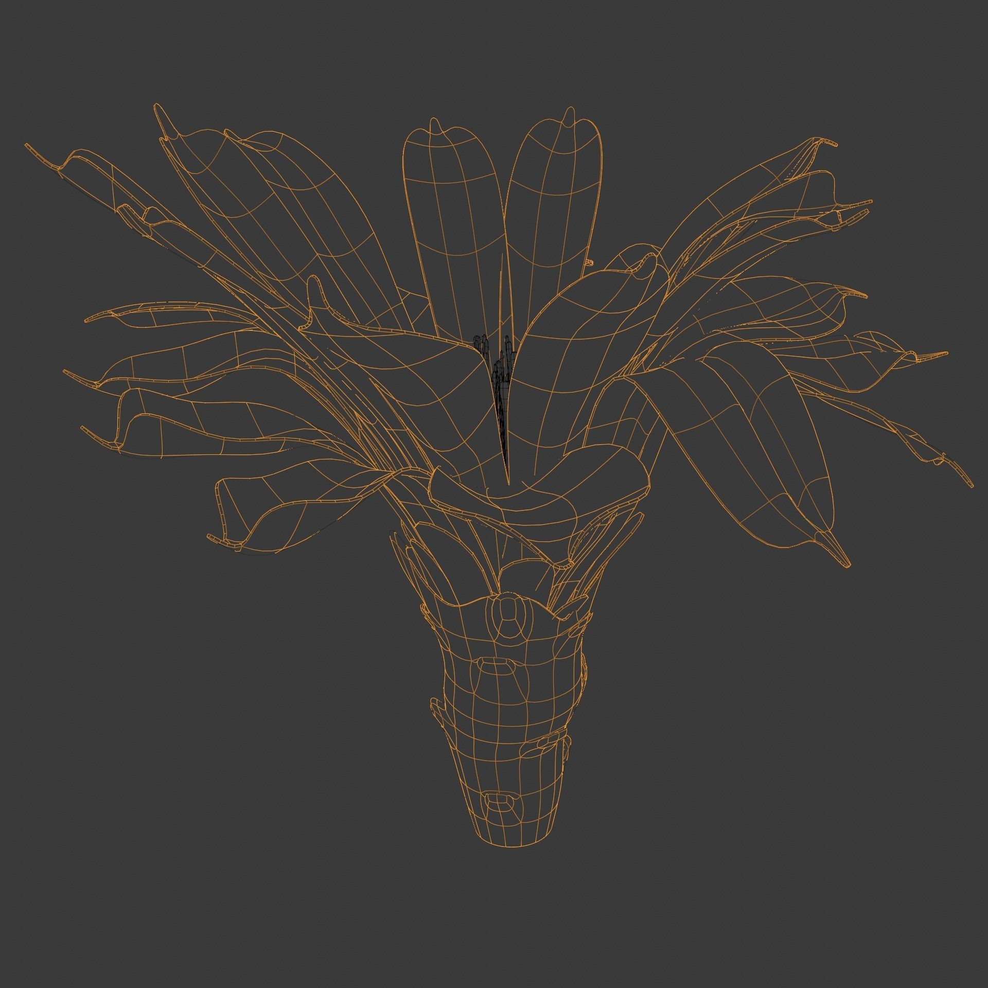 Cactus flower in bloom 3D model_5