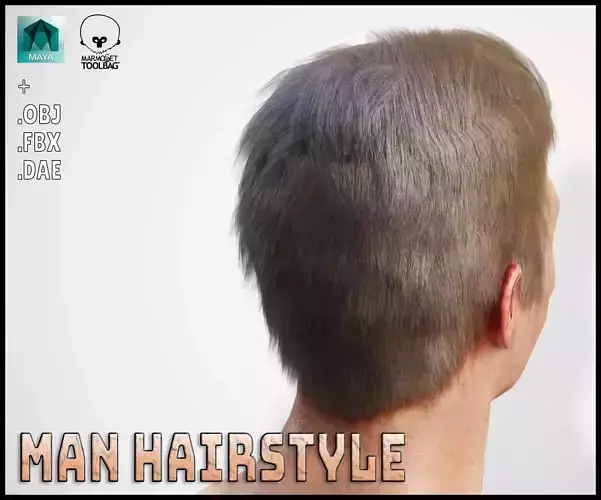 Male Hairstyle 