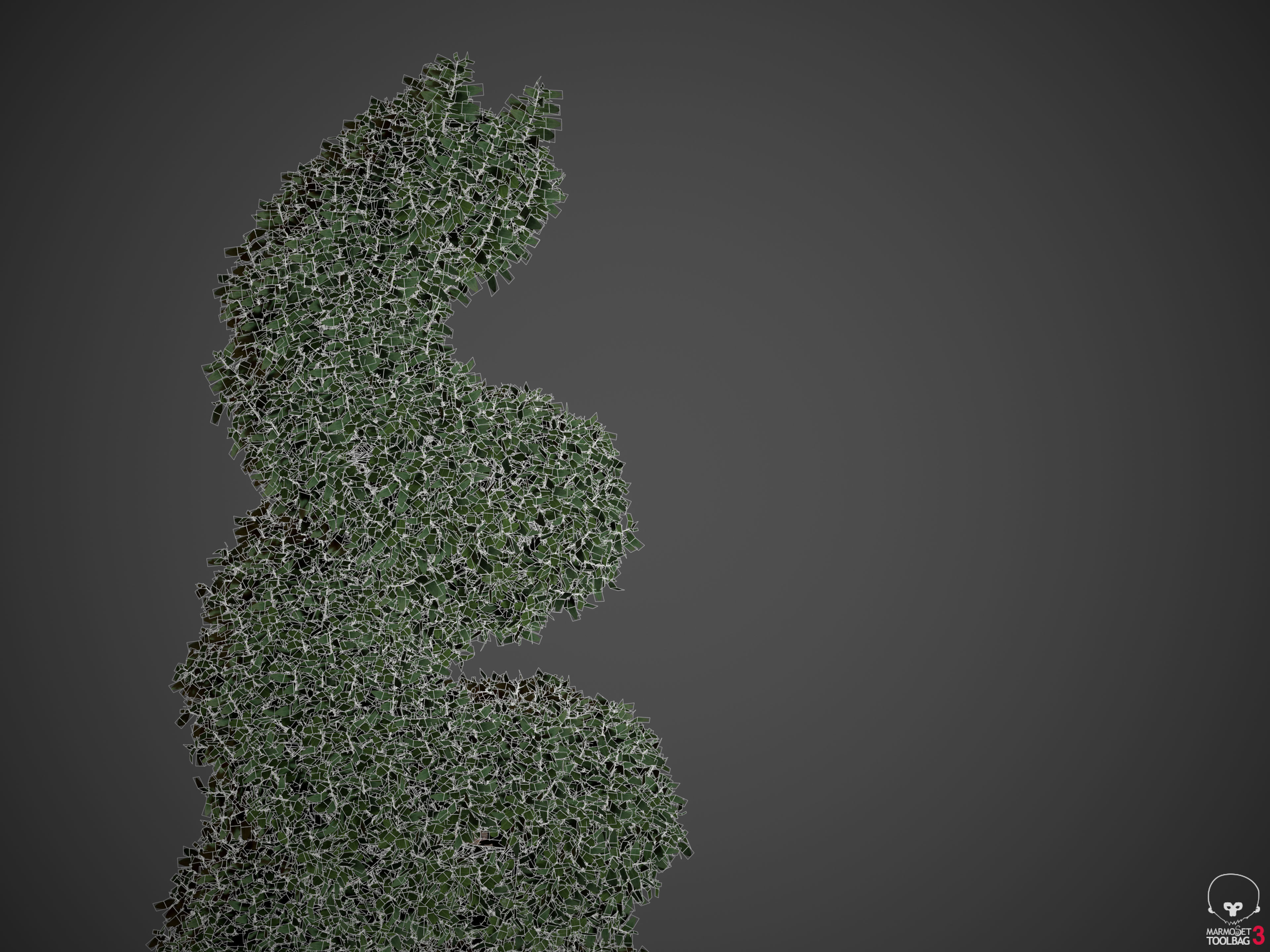 2021 PBR Common Boxwood Collection - Buxus Sempervirens 3D model_11
