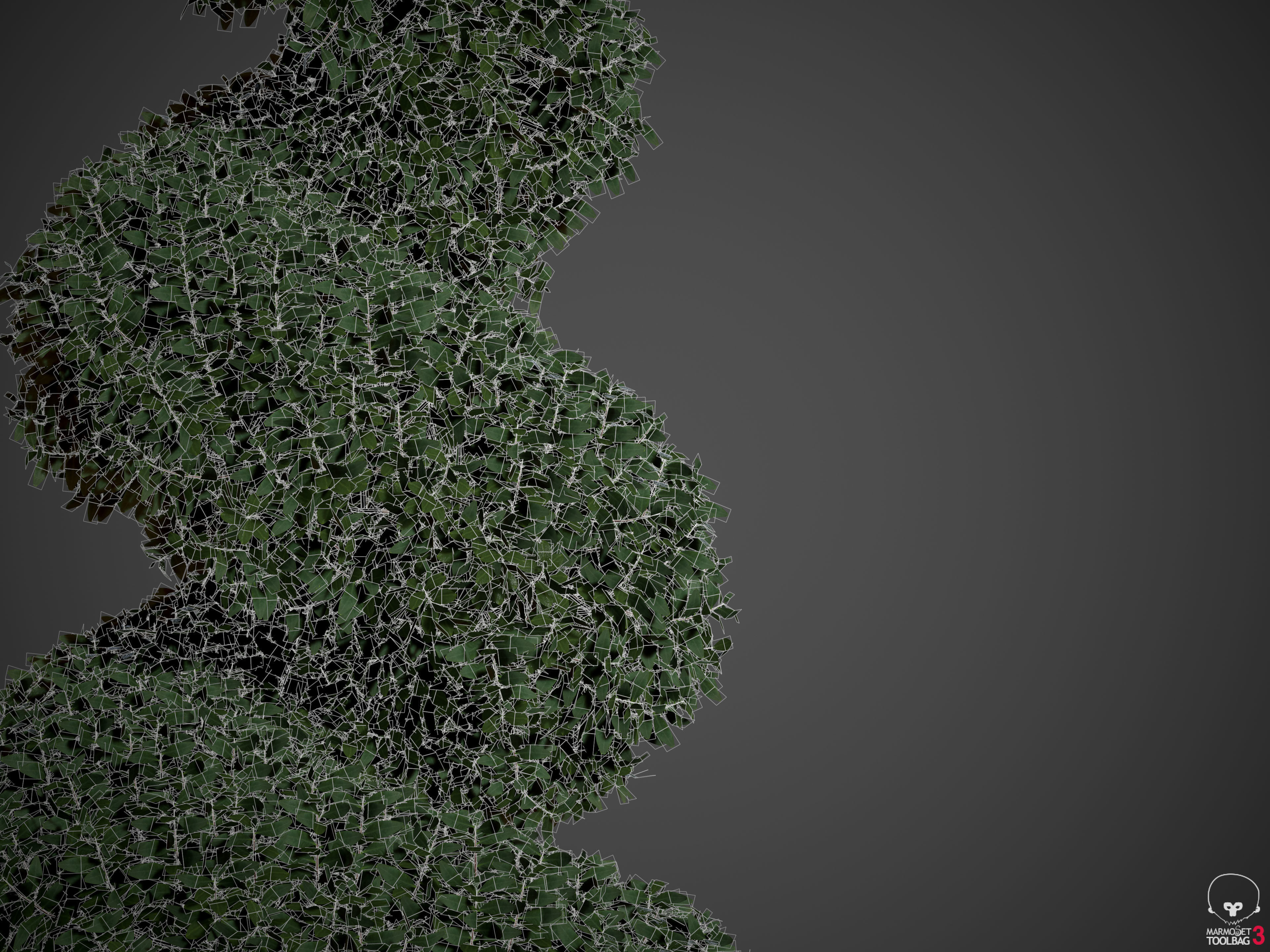 2021 PBR Common Boxwood Collection - Buxus Sempervirens 3D model_10