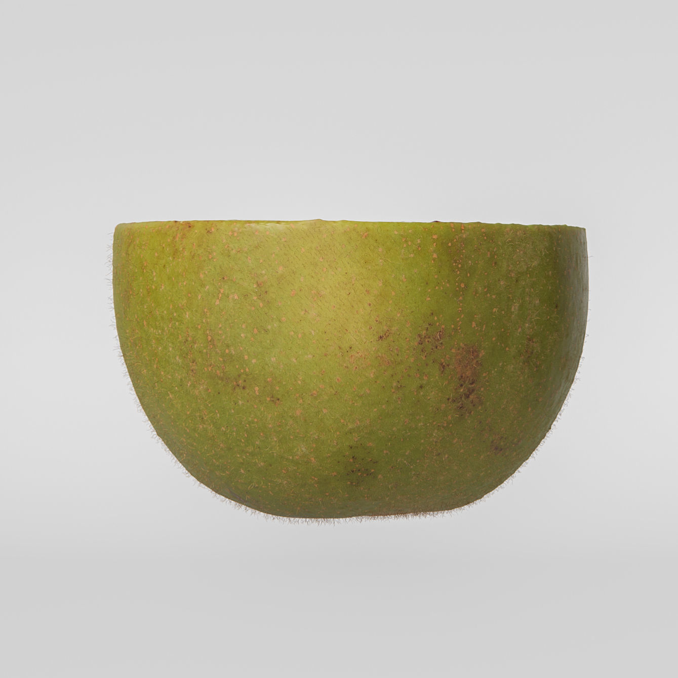 Kiwi 3D model_6