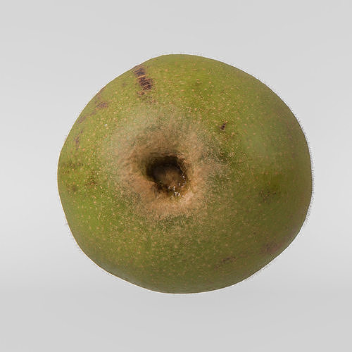 Kiwi  3D model 6