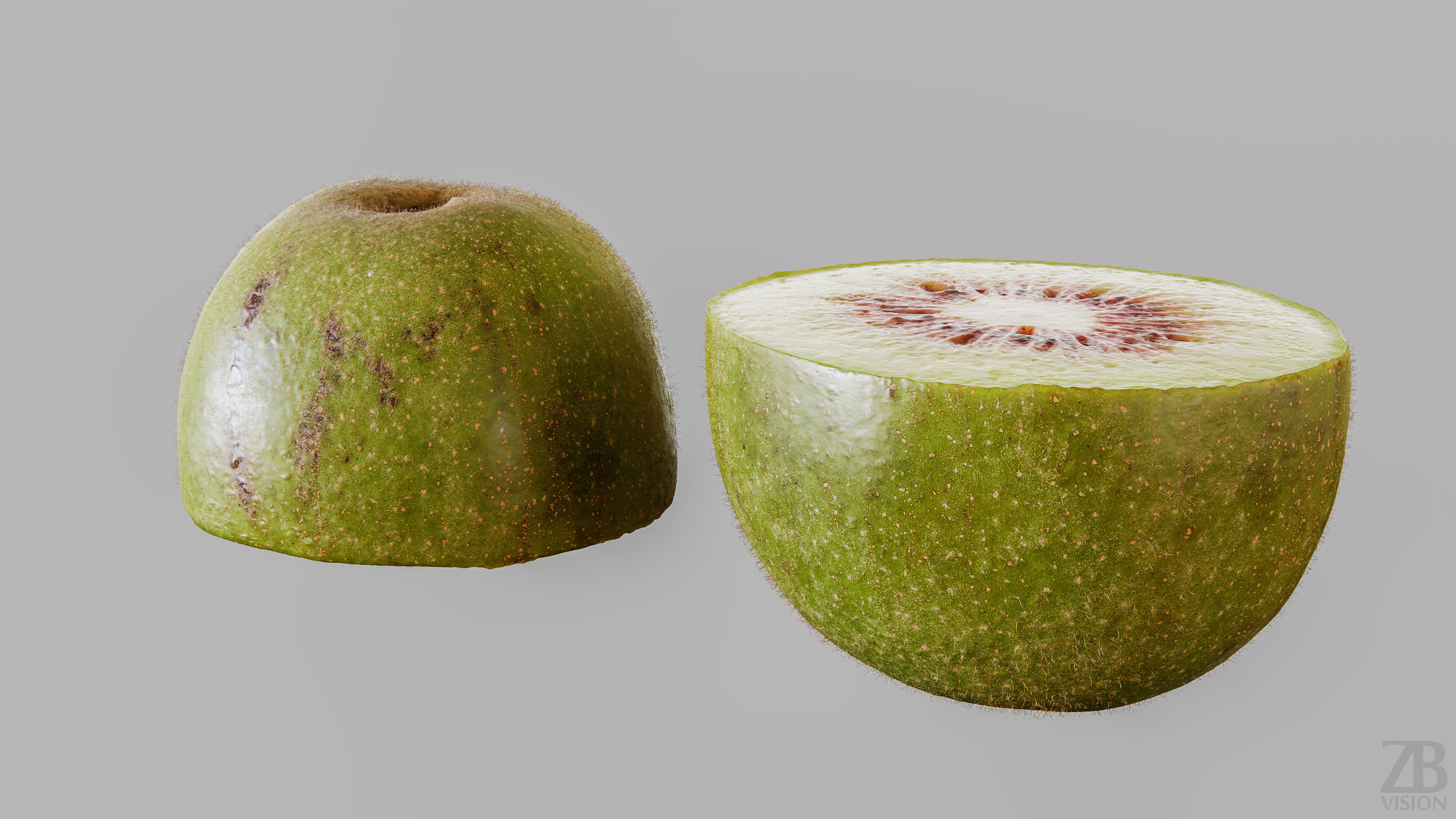 Kiwi 3D model_12