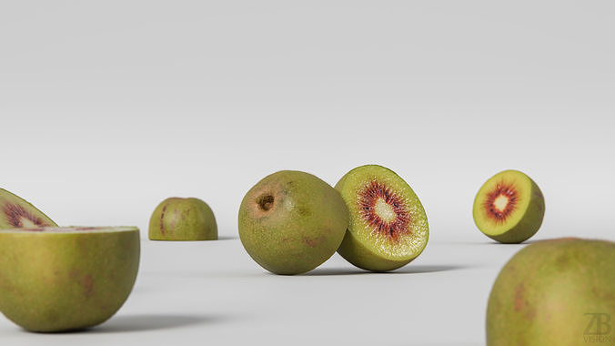 Kiwi  3D model 2