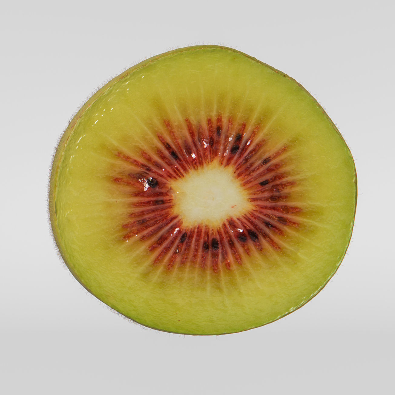 Kiwi 3D model_7