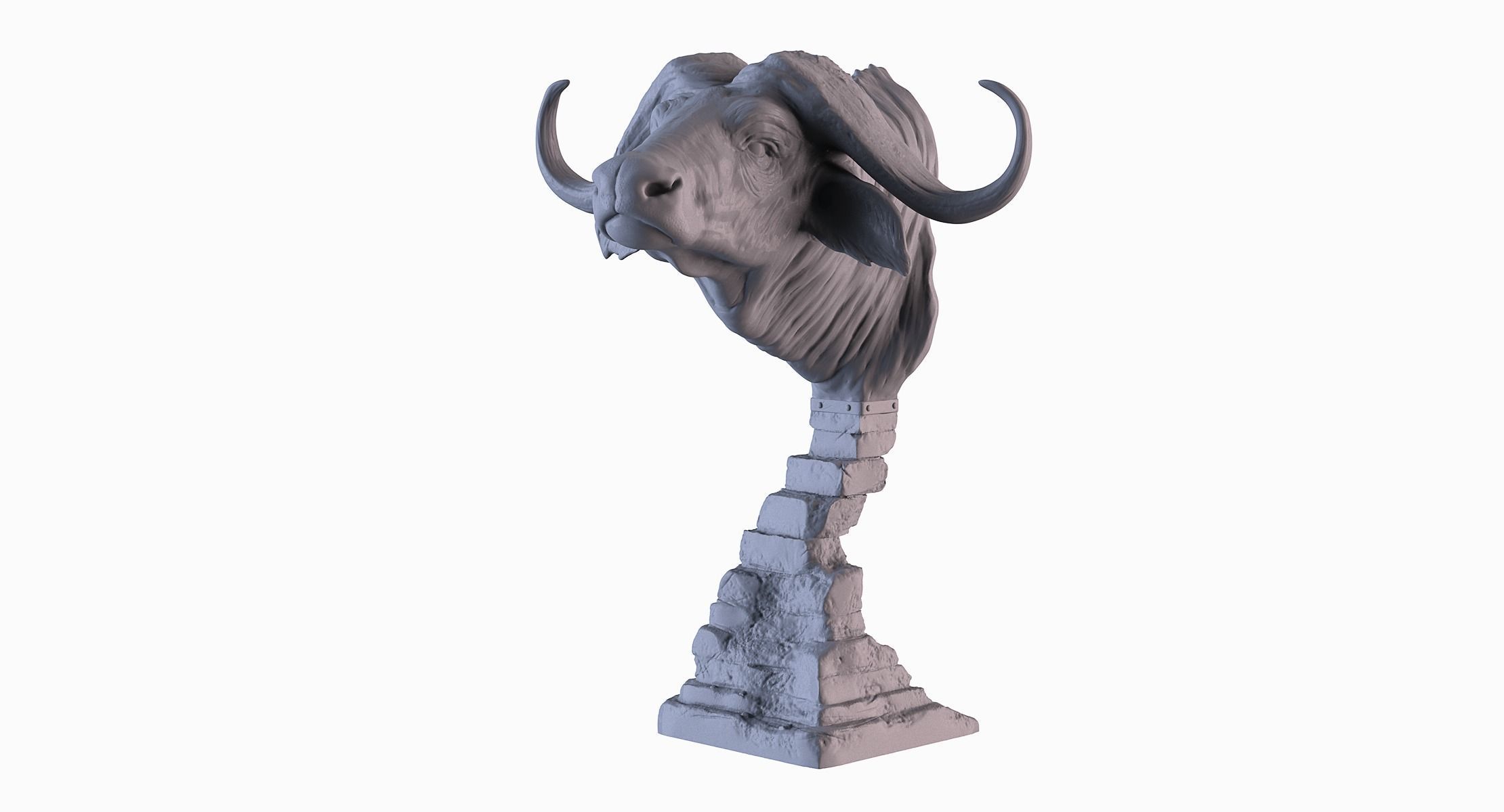 Head African Buffalo  3D print model_2