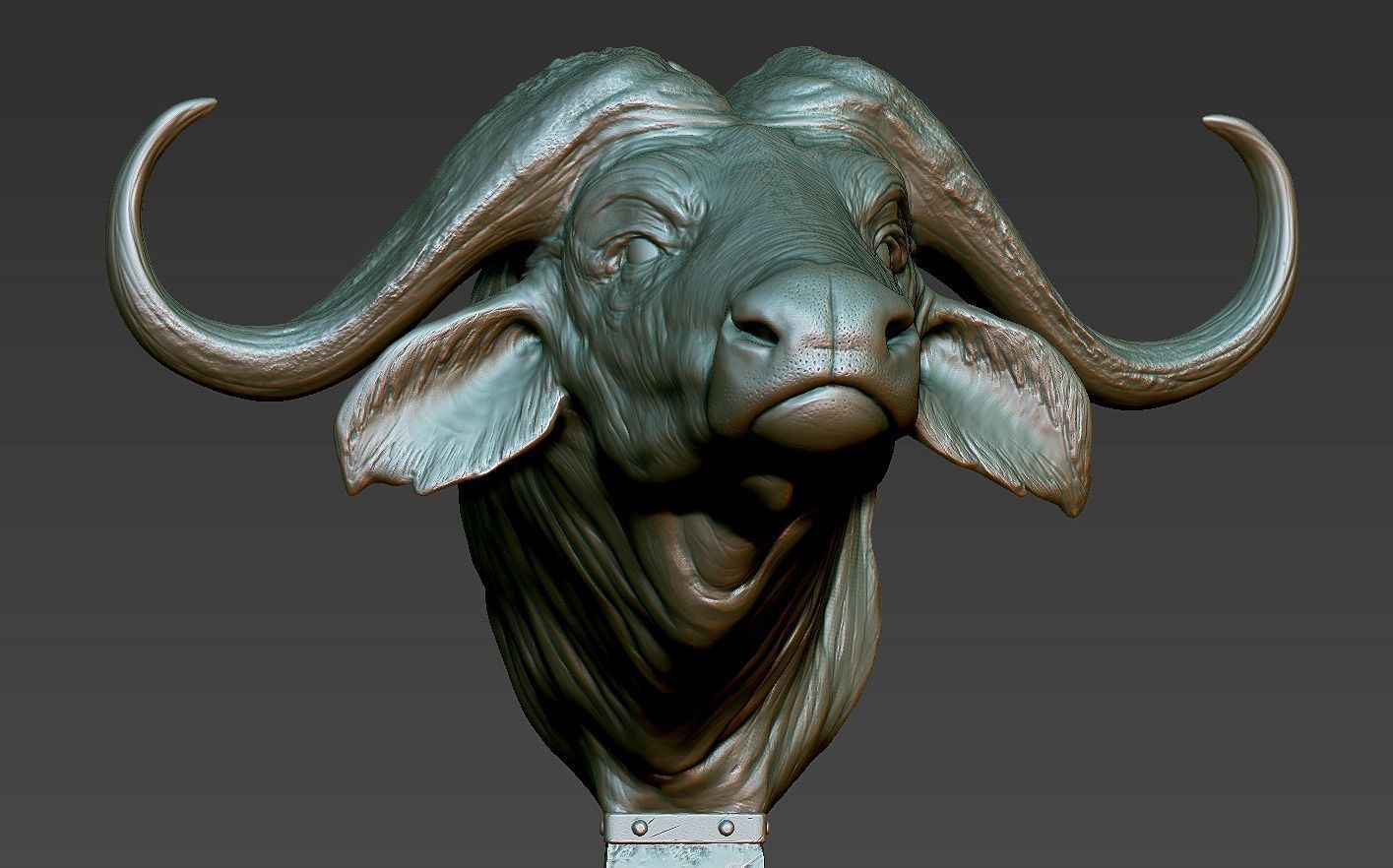 Head African Buffalo  3D print model_17